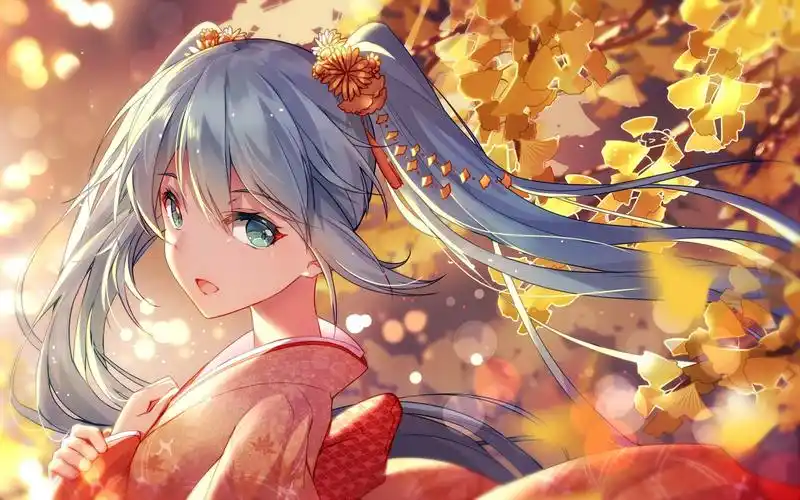 风屿主视觉·梦之扉